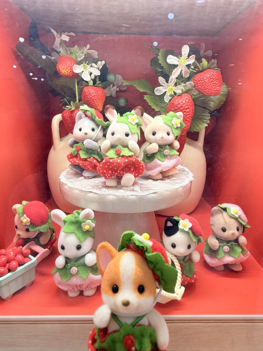 harryrinrin's tweet photo. 朝からハリーとシル活してきた🍓 https://t.co/b5ubDZak6Q