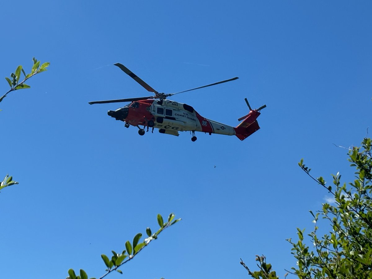 MultCoSO's tweet photo. Earlier today, the Multnomah County Sheriff's Office, Corbett Fire, and the U.S. Coast Guard successfully coordinated a helicopter rescue in the Columbia River Gorge.

Around 10 a.m., first responders received reports of a hiker, from New York, who had fallen and suffered an injury just east of the Angels Rest Trailhead.

Due to the dense canopy and rugged, steep terrain, responders determined a standard ground carry-out would be unsafe for the patient.

We want to thank our partners with Corbett Fire and the U.S. Coast Guard for their help. 

Read more: https://t.co/YtFtmmDsOg