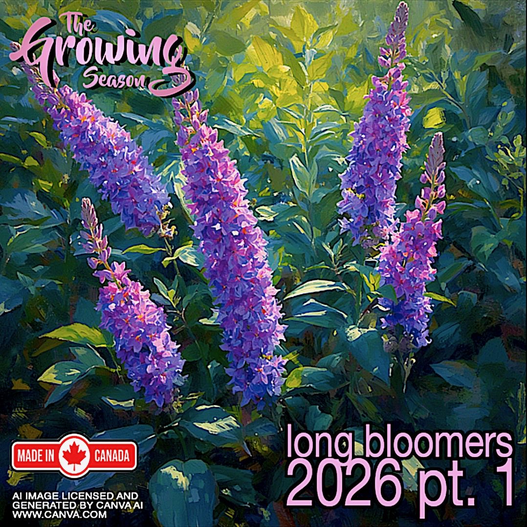 GrowingSeasonJM's tweet photo. Some plants take decades to bloom, trees can bloom weeks or more, but shrubs are true long-bloomers like Cinquefoil and Hydrangea etc.  Join The Growing Season for their Long Bloomers Show 2026 Part 1 on July 4 and 5 at 10:00 am  @Sauga960am.  Enjoy! https://t.co/oEBJYfySGY https://t.co/fjmIYlIgQw