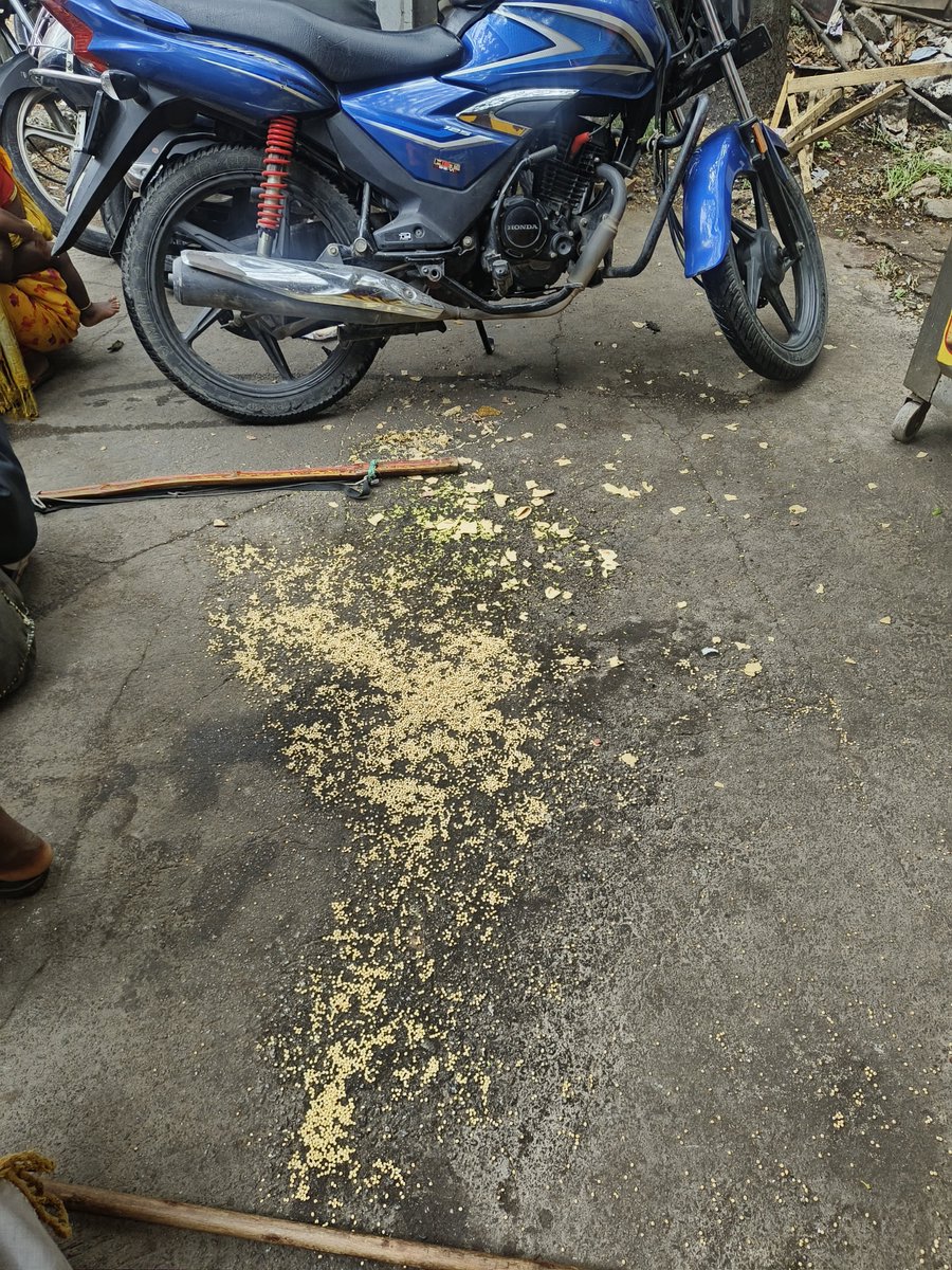 bhatt_03's tweet photo. @GHMCOnline @CommissionrGHMC @GHMCOnline @CommissionrGHMC Requesting your office again to address issue of pigeon feeding. Location: Adjacent to Shobhanadri Apts, DK Road, Ameerpet, near Ratnadeep Express, Opp. Hanuman Temple. This activity leads to serious health issues. Today's image is attached herewith https://t.co/Xww1ARom2V