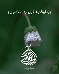 ghaziQht's tweet photo. https://t.co/iQqCwtaazO