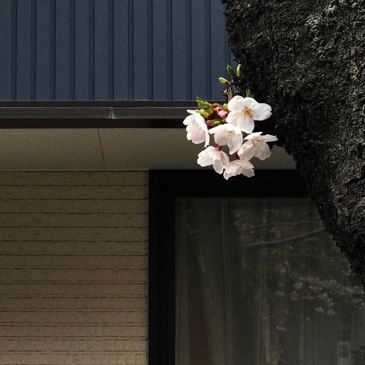 kooromi19's tweet photo. life feels better when you notice the little things https://t.co/nzxQcspta3