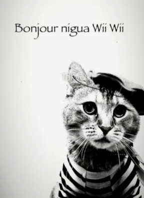 catotdd's tweet photo. https://t.co/knlzQXwVEq