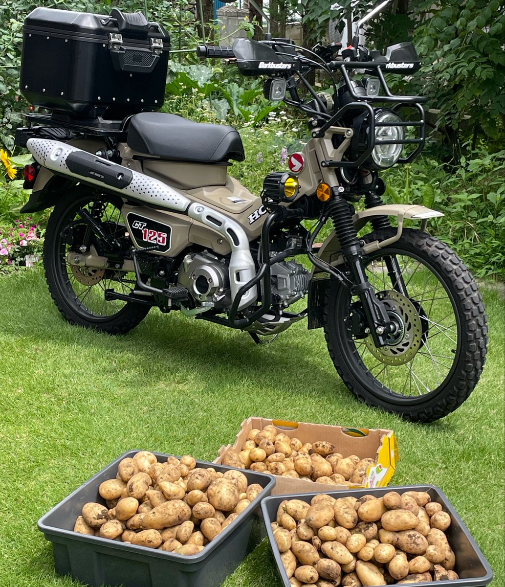 Georide_NW's tweet photo. じゃがいも🥔収穫！
なんてじゃがいもが似合うバイクなんだ。 https://t.co/a3mp3rC3qP