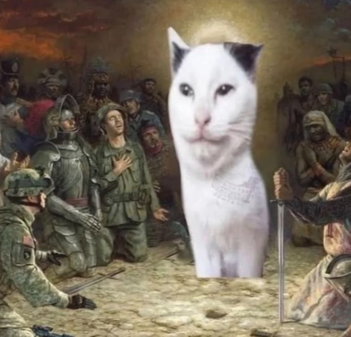 catotdd's tweet photo. https://t.co/AQTmGsedDV