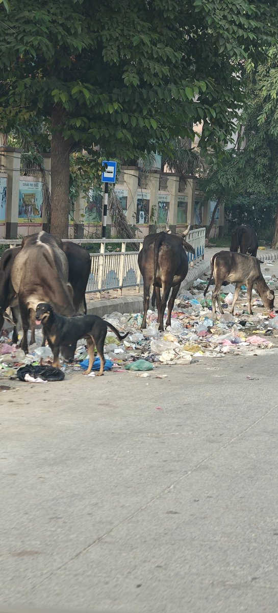 PareekS21's tweet photo. ये खबर सुनते ही फरीदाबाद के नहरपार इलाके में इन्वेस्टर्स की होड़ लग गई।

#Faridabarbad #smartcity https://t.co/c8m1ADDmw3