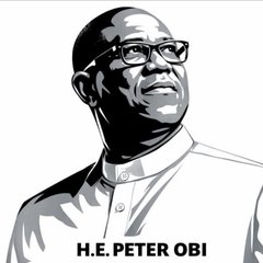 AndrewOkere's tweet photo. Remember Who We Are! 
We are well-meaning Nigerians fighting for a better Nigeria through the presidency of Peter Obi. This is our identity: no tribalism, no hate, only hope and solutions.

- Ibrahim H Abdulkarim @ziter001 https://t.co/mrGaoJGUmZ