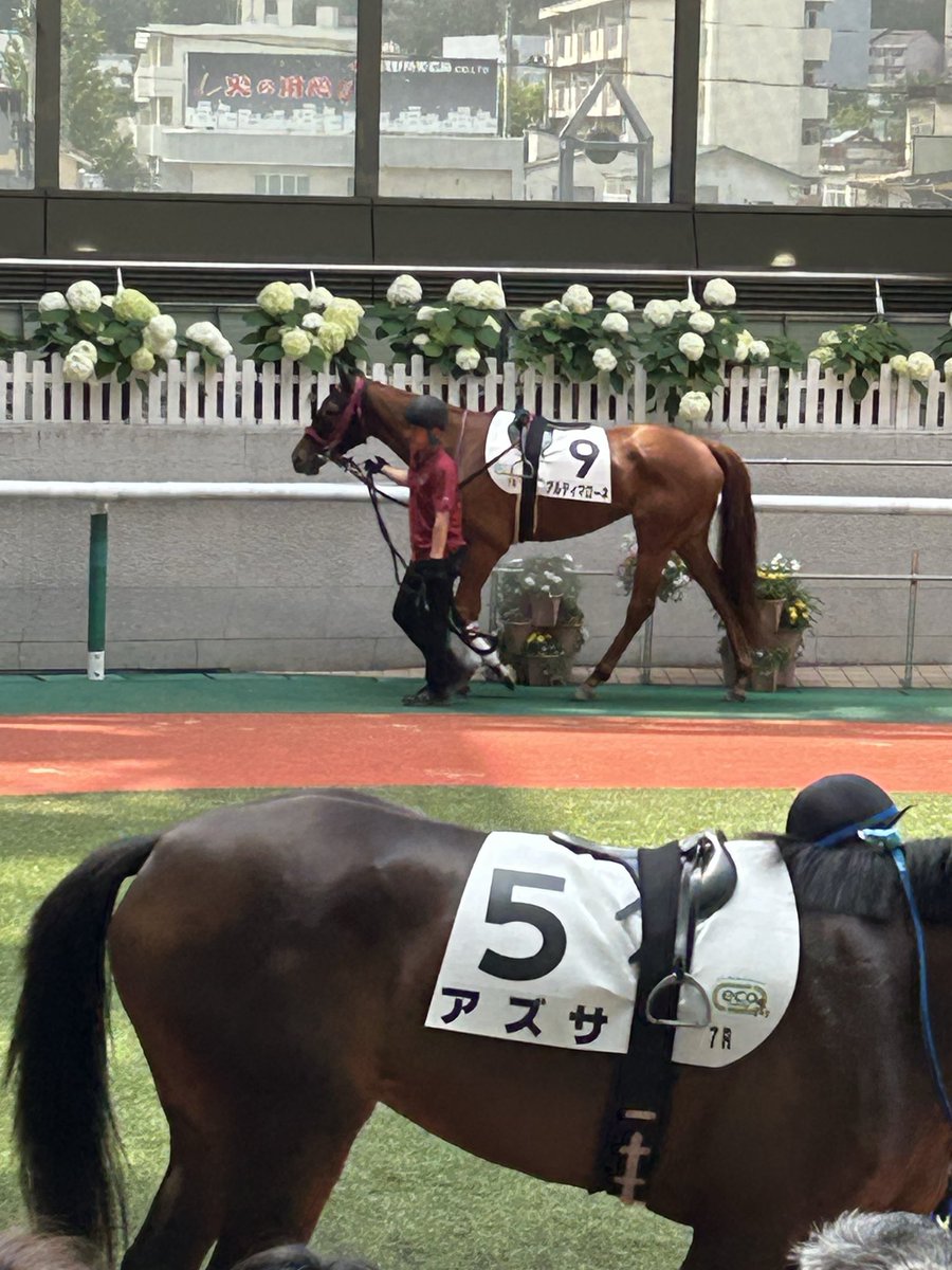 Y621A's tweet photo. アルティマローネ福島競馬場です https://t.co/XkQa3Gm3Sh
