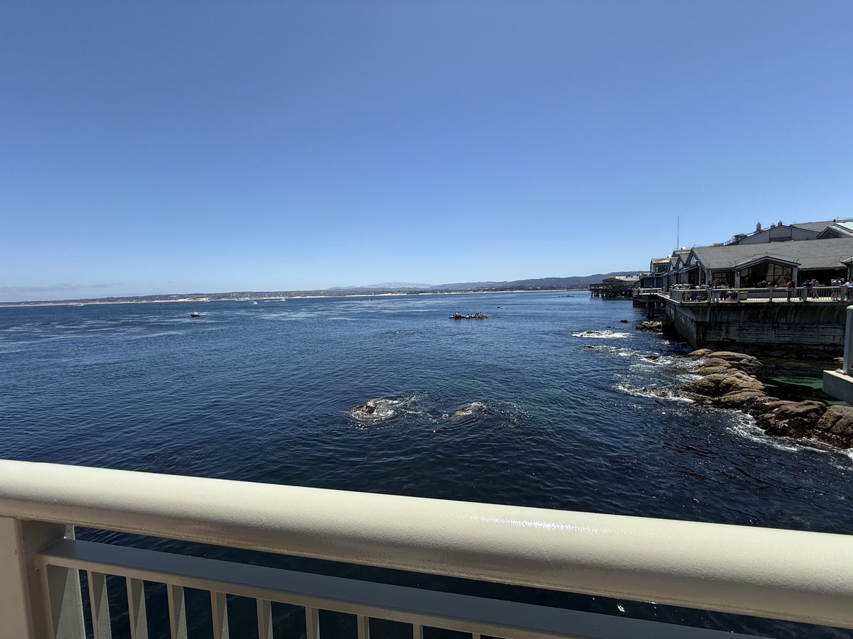 Jennilak3's tweet photo. Love the west coast and waking up on vacay and trading NY session @MarciSilfrain #monteryCA https://t.co/PnHW3NRcpF