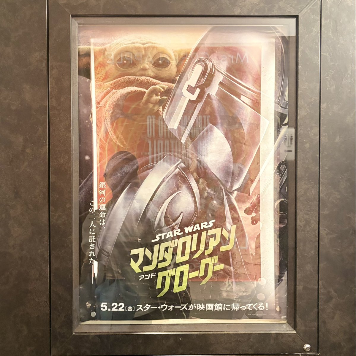 wacooobl's tweet photo. #マンダロリアンアンドグローグー
観てきた🎬ドラマ版を履修してから行ったので、グローグーの成長っぷりに感激した😭💚 https://t.co/J6awB5plST