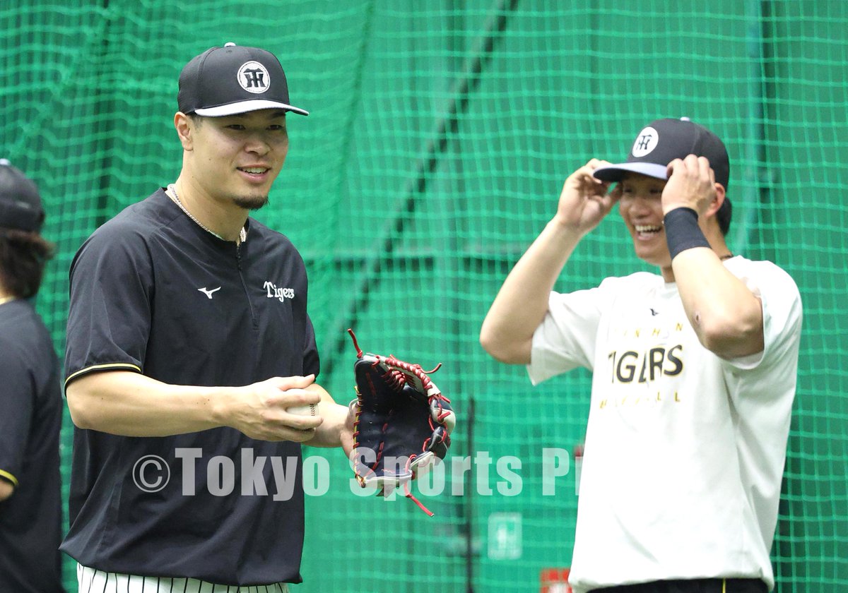 tospophoto's tweet photo. 【プロ野球】2026年7月4日
阪神X広島 雨天中止

#坂本誠志郎 #前川右京 #熊谷敬宥 #佐藤輝明 #森下翔太 #高橋遥人 #才木浩人　

#タイガース #Tigers #阪神タイガース #東スポ https://t.co/hgHL0h2W3Z