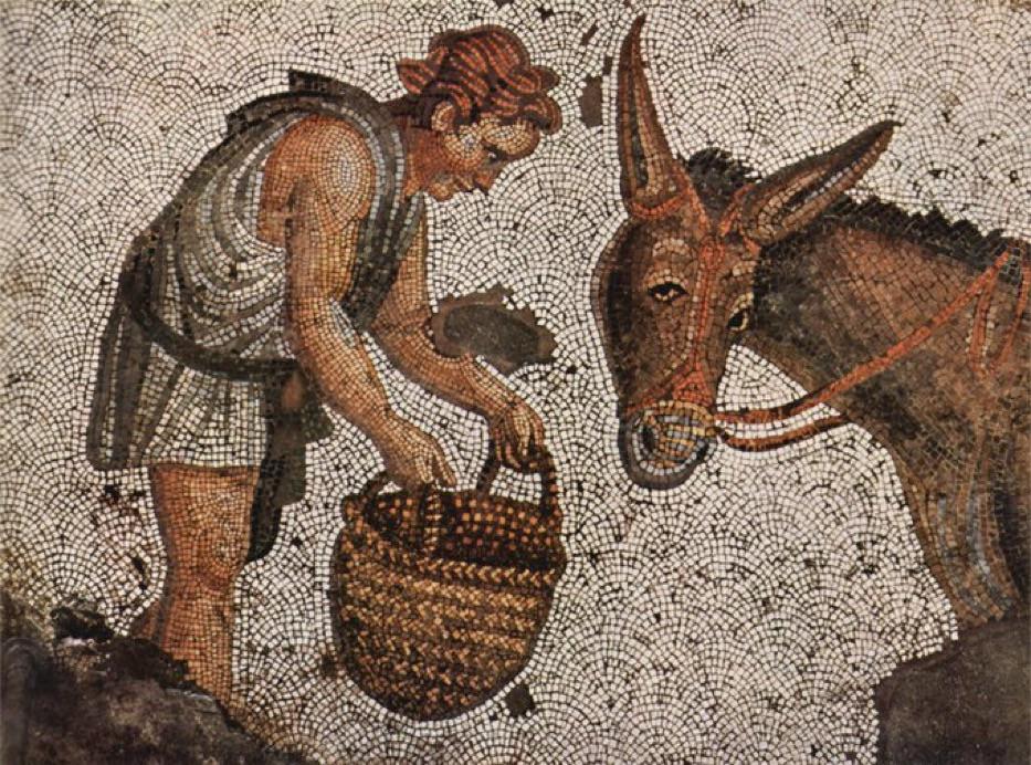 archaeologyart's tweet photo. A 1,500 year old Roman mosaic from Istanbul/Constantinople depicting a scene from rural life, (featuring a rather suspicious donkey). On display at The Great Palace Mosaic Museum. https://t.co/wSmSpg2uCO