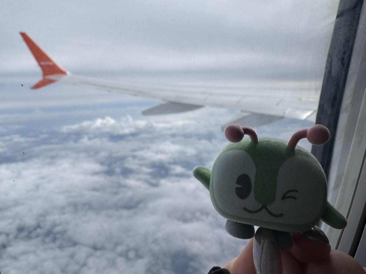 minminwookyo's tweet photo. 最初は飛行機に怯えるものの、その後は快適に空の旅を楽しむみんくる https://t.co/tbHZ1Ym7To