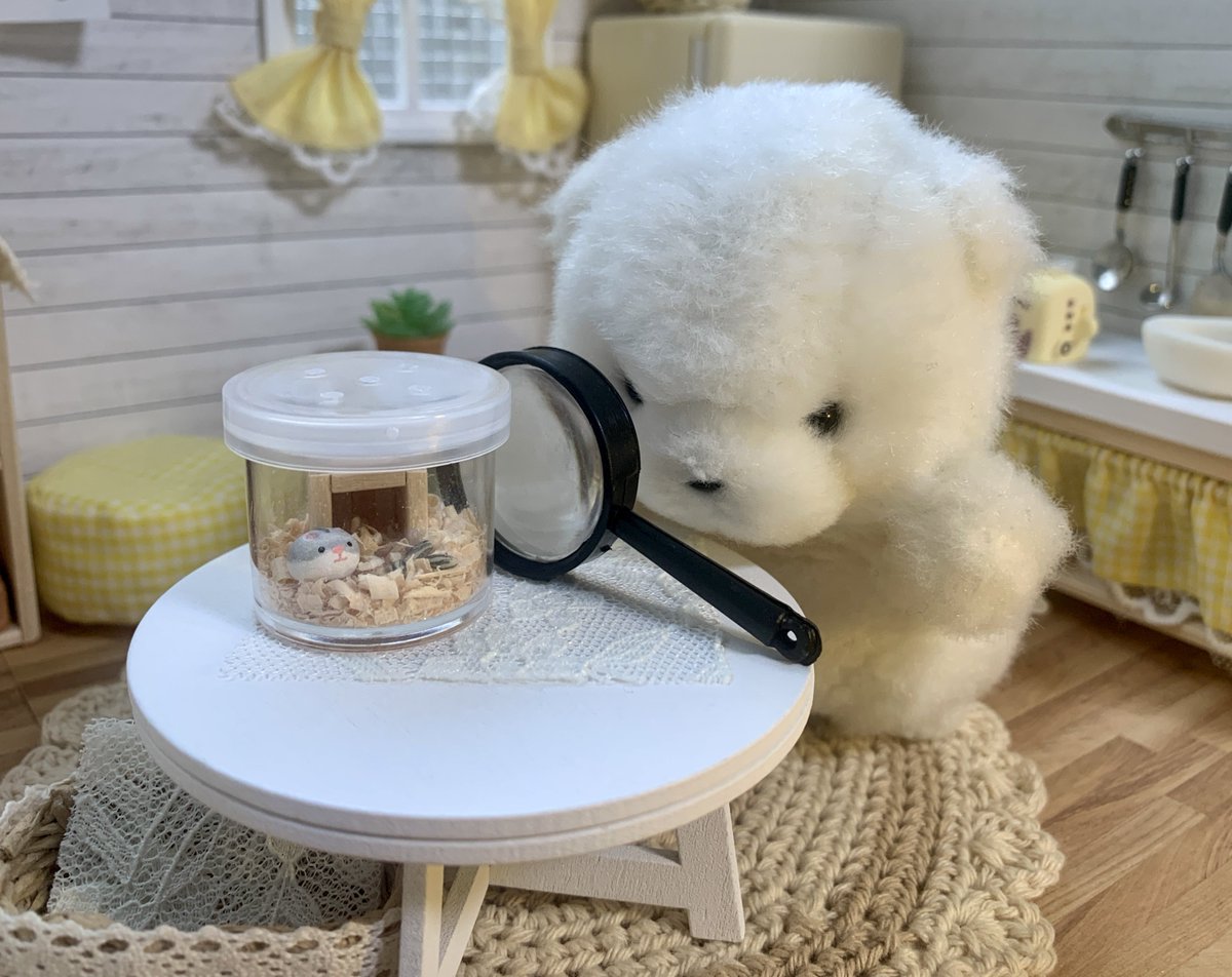 odekakebon's tweet photo. はむちゃん　いじょうなし https://t.co/Odj89paqxb