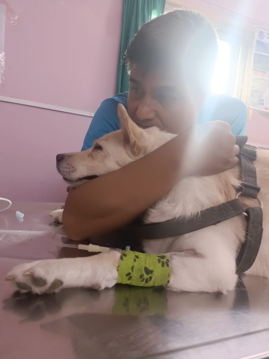 laxmansipa's tweet photo. The Dog is the best friend of a human being. My Eseu! https://t.co/qkTHZPlD9k