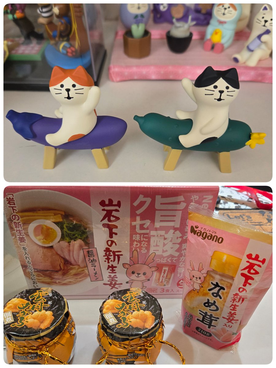eelman0505's tweet photo. 旦那と前倒しバースデー🎂でぇと♡
まず、 #あしかがフラワーパーク 行って植物はガマンしてにゃんこと #雲丹めかぶ GET✨
次にNOT NORMALで #サボテン と #多肉植物 と念願の #アデニア・グラウカ GET♡
 #ステーキ宮 でお肉食べて 🥩✨
 #ジョイフル 新田店 で  #ブーファン・ディスティチャ GET♡ https://t.co/XPAvVvBCwQ