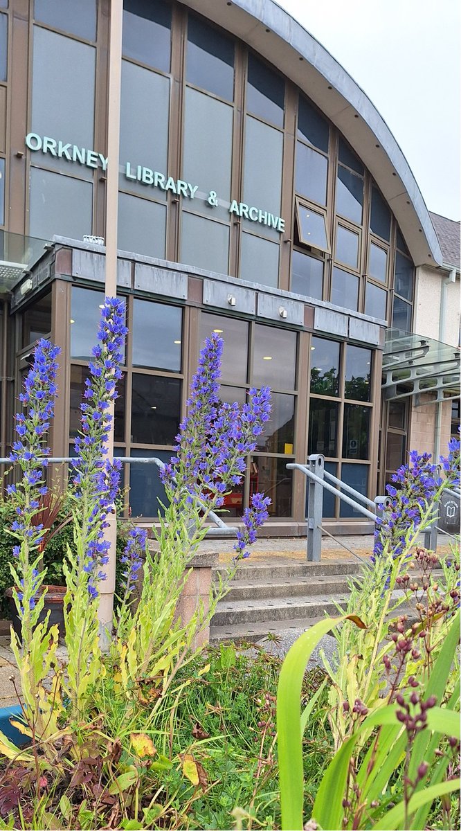 Orkney Library tweet media