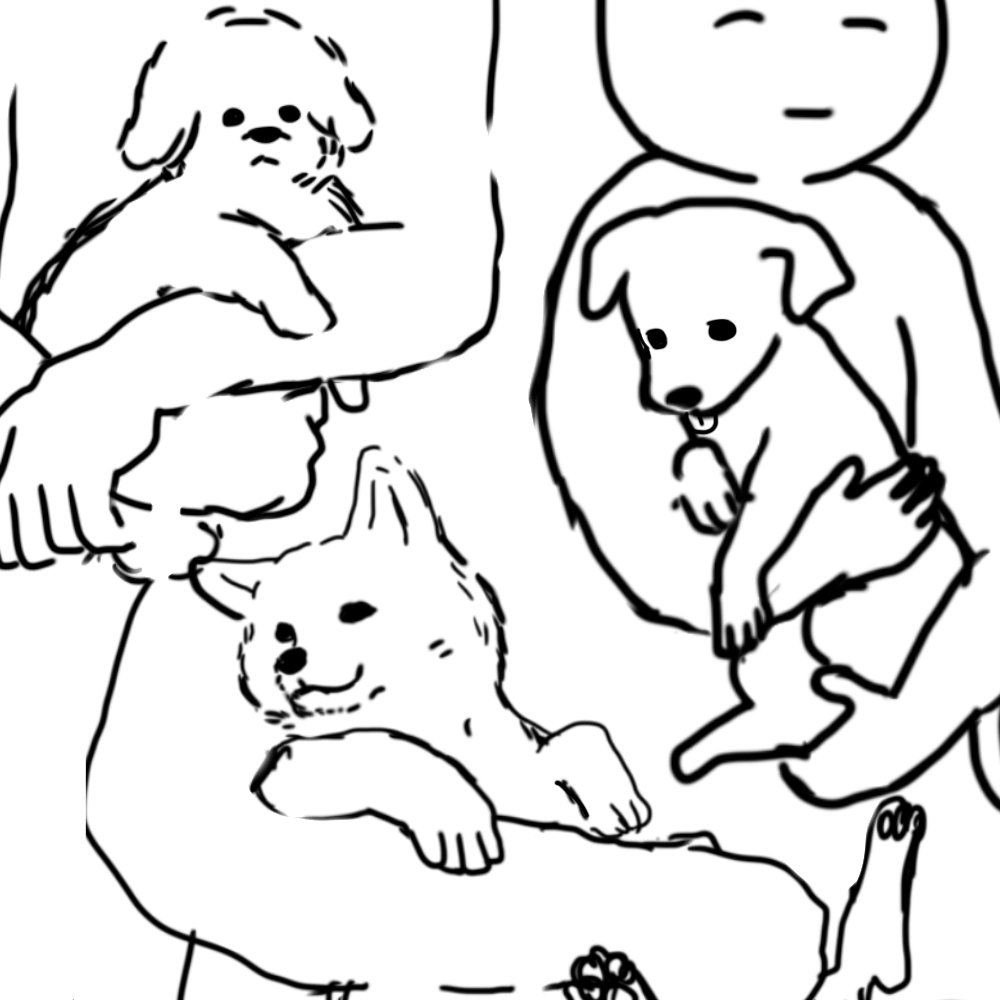 shafuoba's tweet photo. 抱っこされてる犬って、みんな「抱っこされて、当然」という顔していて好き https://t.co/usrVtBYOoo