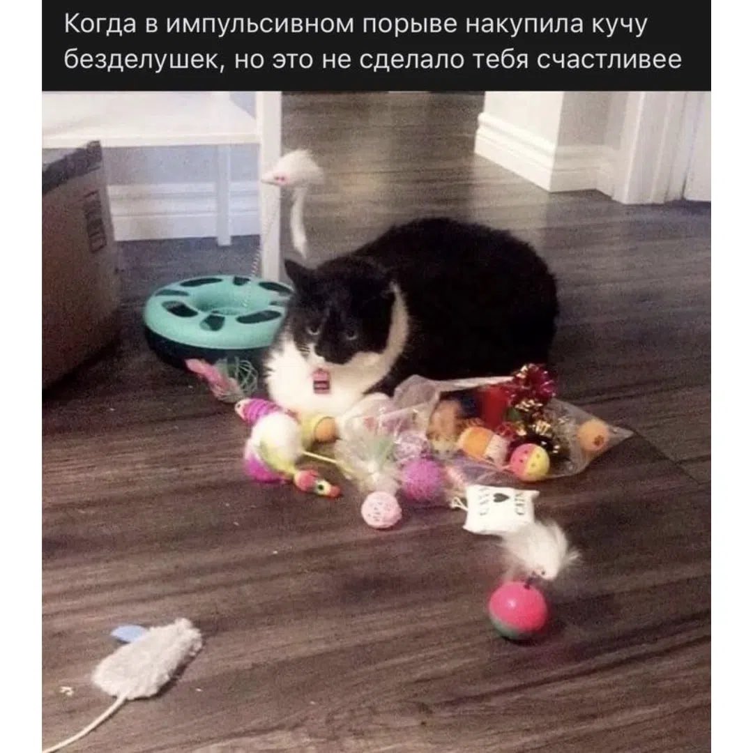 RotachS tweet picture
