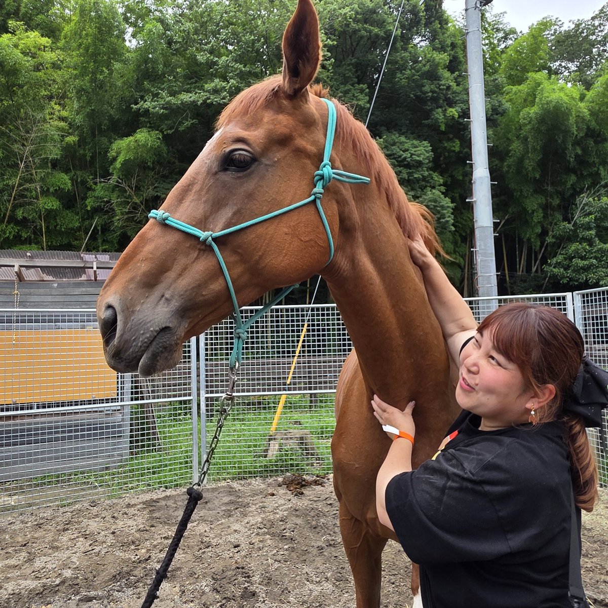 miko_ym1982's tweet photo. ケウちゃんとも触れ合えた❤鬣カキカキしてあげたら、お鼻ムニュムニュしていて可愛かった🥰️ https://t.co/eXVTGUlfo0