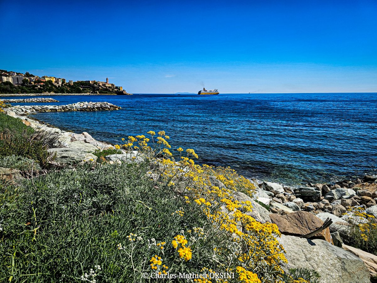 Charles_MCMXCV's tweet photo. ➡️ BASTIA - 24.05.2026 

​Ⓒ Charles-Mathieu ORSINI 

​Bonghjornu. Ritratti di Bastia. 

​#corsica #bastia #visitcorsica #blue #sea 

2/2 https://t.co/6SufEPaQri