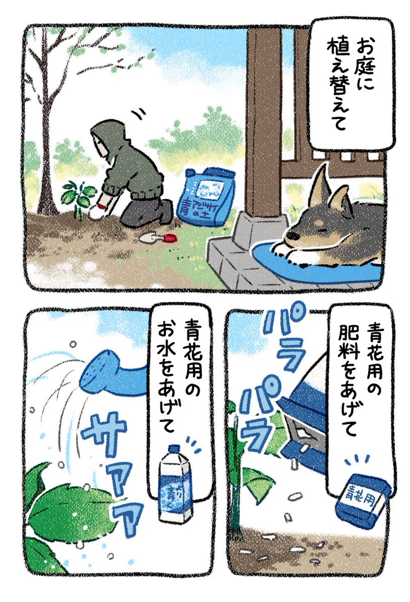 (2/5)再戦 
