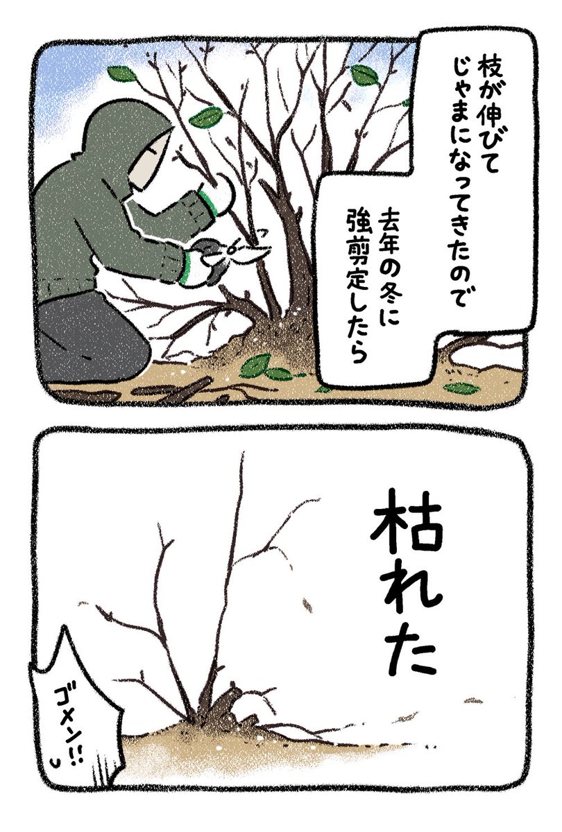 (5/5)5戦目 