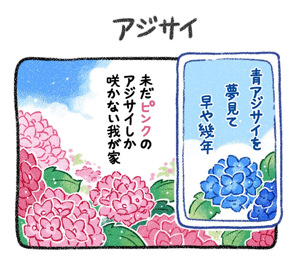 (5/5)5戦目 
