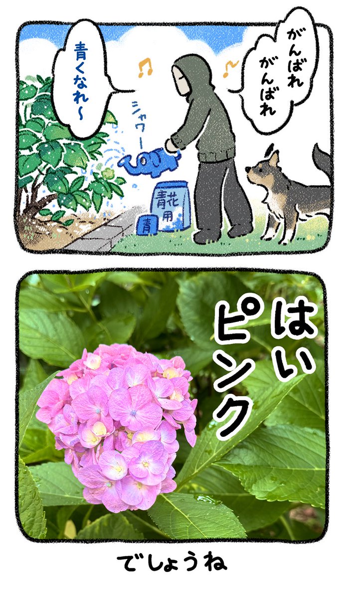 (5/5)5戦目 