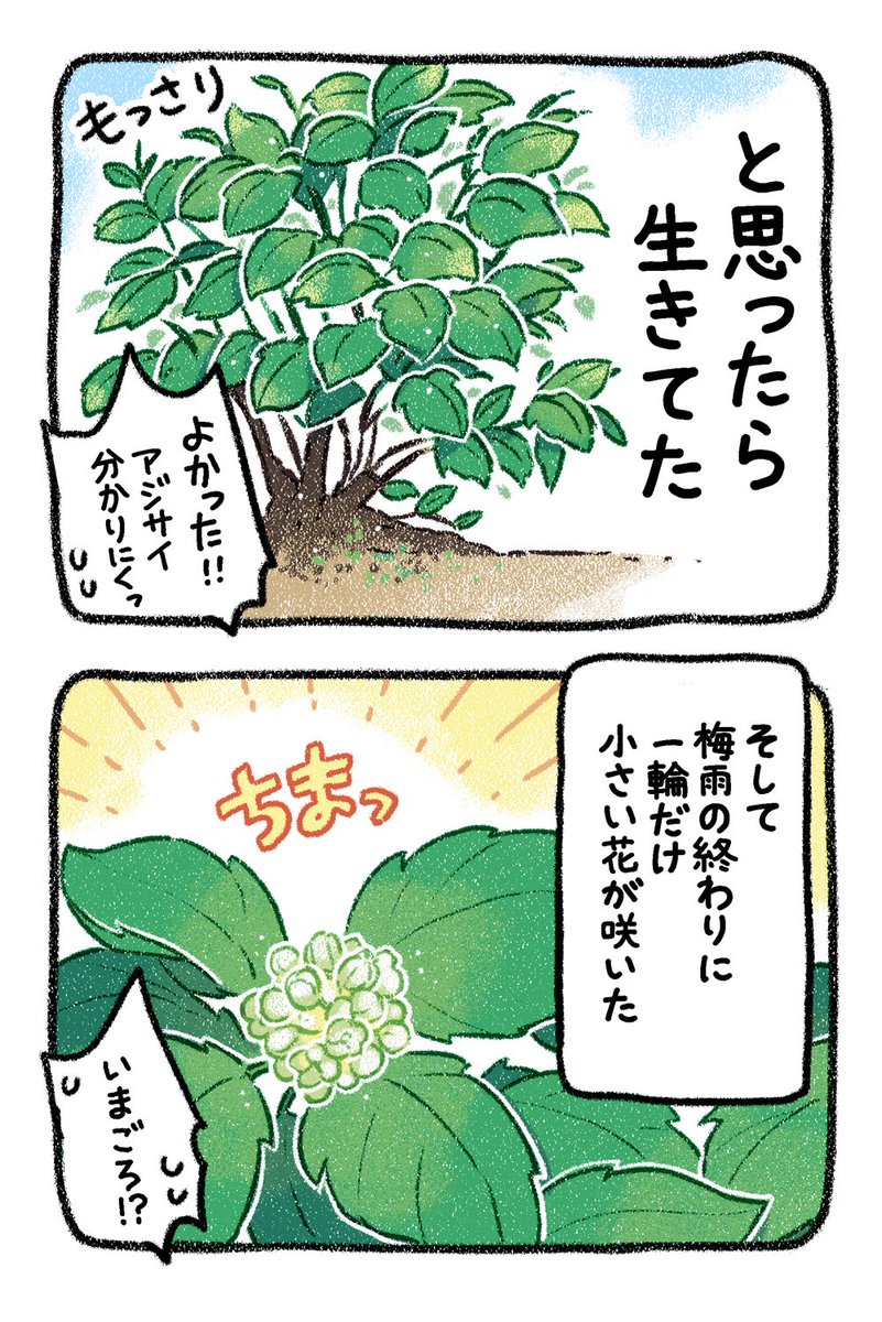 (5/5)5戦目 