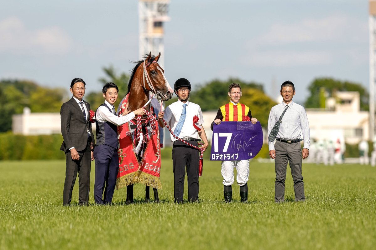 netkeiba's tweet photo. 【#新潟記念】
現時点の出走想定馬
グランドカリナン
ゴーイントゥスカイ
ステレンボッシュ
ゾロアストロ
ダノンシーマ
チェルヴィニア
フィーリウス
ロデオドライブ
撮影：下野雄規 https://t.co/RHneFooM2x