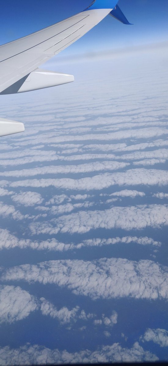 lifeoutsideEU's tweet photo. @chatswithem I've flown down to the canaries many times and never seen cloud formation like this time they looked like a ploughed field for many many miles https://t.co/74A4hMvx6K