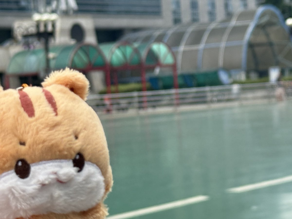 yu2days's tweet photo. サノク入れなくて大鬱なりけり 安養の旅へᐢᴗ.ᴗᐢ🎶 癒された🎶 https://t.co/Vu4K8rhXQu