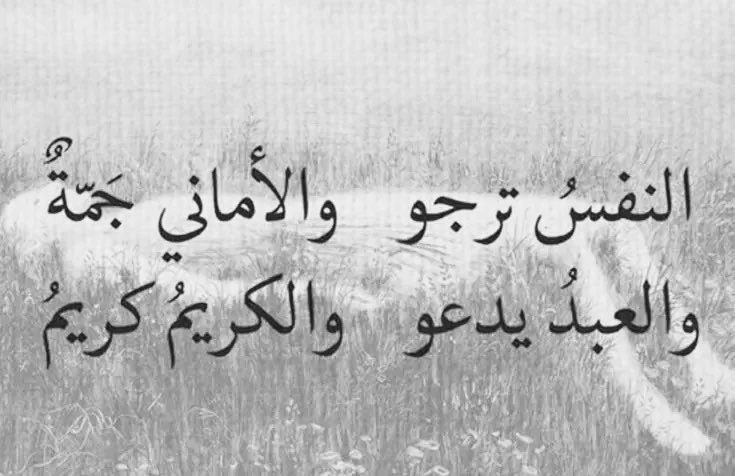rrinh71's tweet photo. https://t.co/bifzbcjDgU