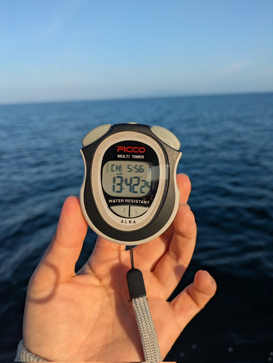 TSSF_openwater's tweet photo. Aysu Türkoğlu has successfully swum across the Tsugaru Strait!!!

アイス・ターコグルさんが津軽海峡遠泳に成功しました！！！ https://t.co/RHXSc5cWzA