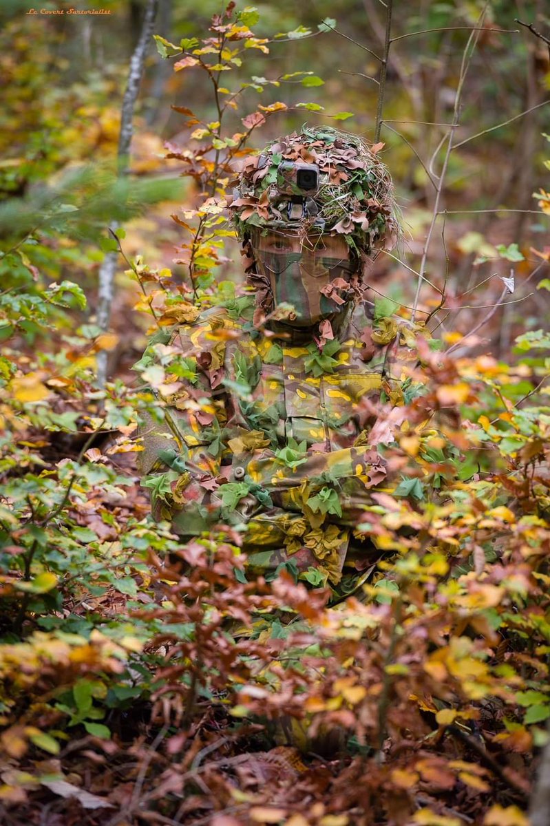 supernova_ken's tweet photo. Camouflage. https://t.co/IdGN4MaSkW