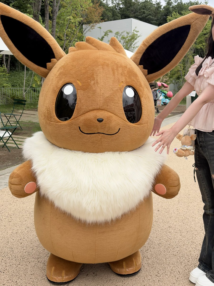 rubis__m's tweet photo. 私と舞香ちゃんとイーブイちゃんと
（大好きな舞香ちゃんとイーブイちゃんのコラボに感涙😭😭😭🤍） https://t.co/OeUIAs6L7w