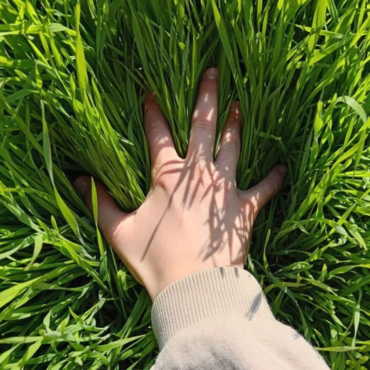 DanielWellings_'s tweet photo. Dear Applicants,

You've sent the CVs. You've done the applications. You've refreshed your mails 47 times this week.

It's weekend now.
Step outside. Touch some grass. https://t.co/mpX7CsYbvM