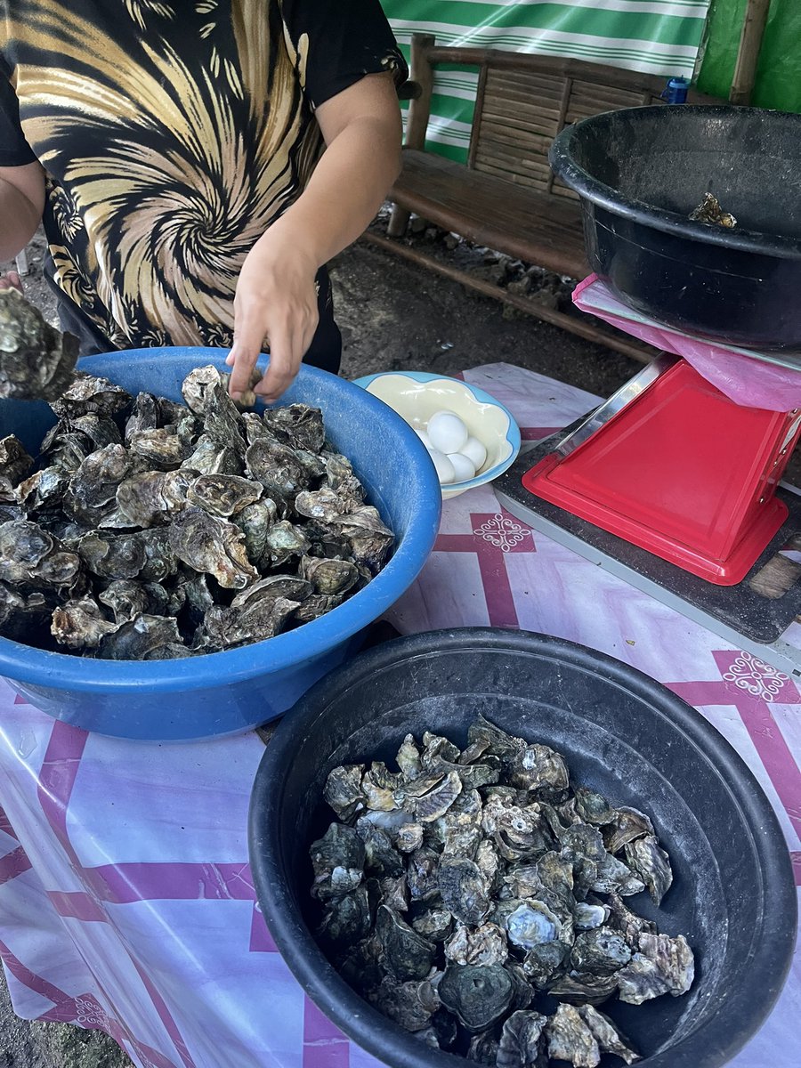 artistagoten's tweet photo. Kanang mo byahi ka from moalboal to badian para makakon lang ka ani 😍 https://t.co/5Vlrrjs6wK