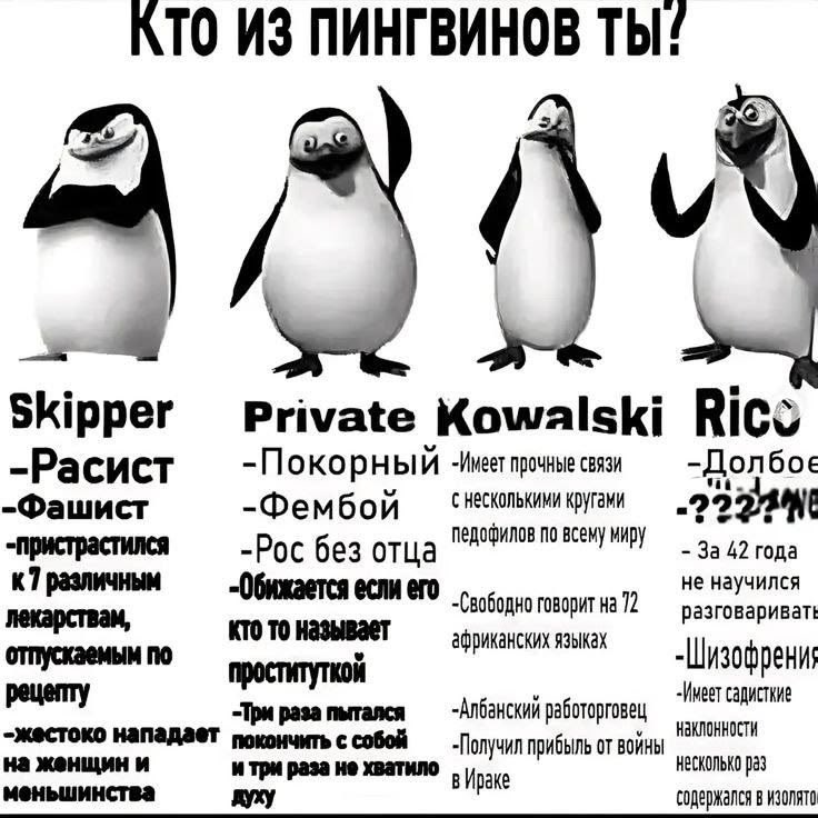 nyan nyan tweet media