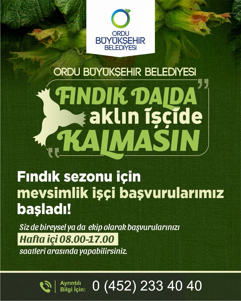 _orduses_'s tweet photo. OBB olarak “Fındık Dalda Aklın İşçide Kalmasın” projesi kapsamında fındık üreticilerimizle tarım işçilerinizi buluşturuyoruz. 
Fındık bahçesi sahipleri ve işçi olmak isteyenler için başvurular başladı. Başvuru adresi https://t.co/Bwp3OuPeWZ 

Ayrıntılı bilgi için 0452 233 40 40 https://t.co/KrCL3mkmmA