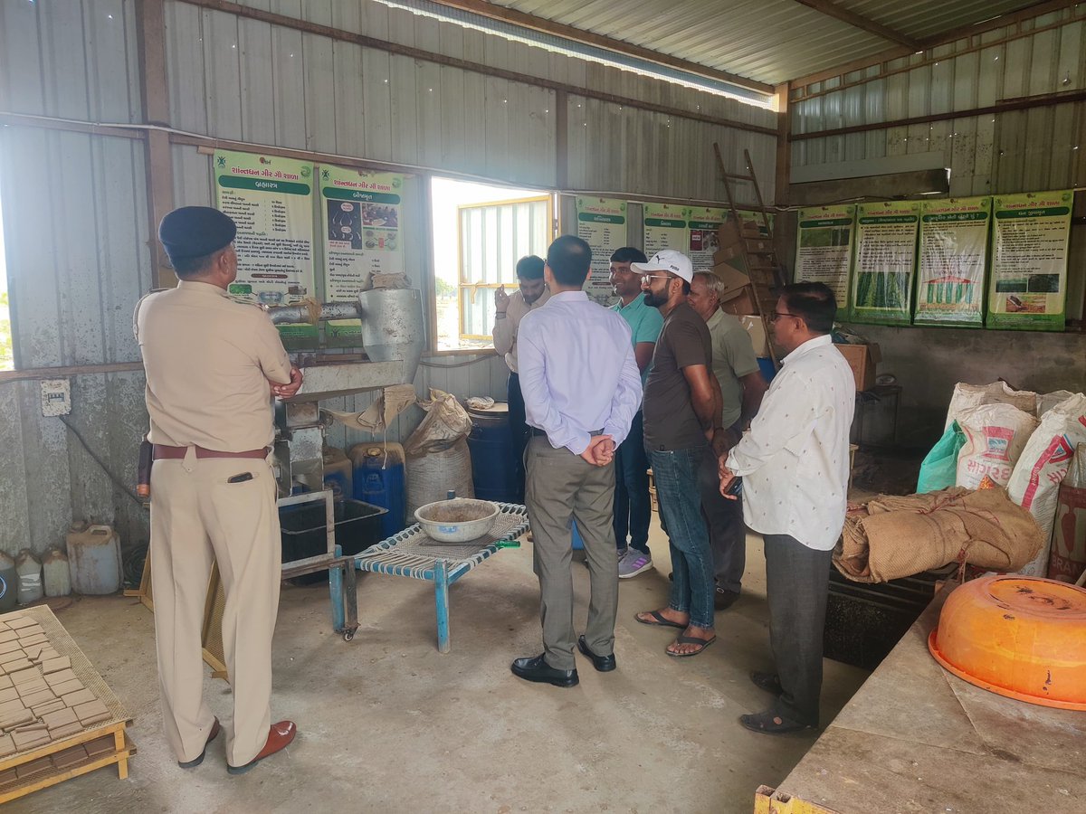 InfoPatan's tweet photo. પાટણ જિલ્લા કલેક્ટરશ્રી ડૉ પ્રશાંત જિલોવાએ આંબાપુરા ખાતે પ્રાકૃતિક કૃષિના મોડલ ફાર્મની મુલાકાત લીધી.

મુલાકાત દરમિયાન તેમણે પ્રાકૃતિક કૃષિના વિવિધ મોડલનું નિરીક્ષણ કર્યું તેમજ ગાય આધારિત કૃષિ ઉત્પાદનો અને તેમના ઉત્પાદનની પ્રક્રિયા અંગે માહિતી મેળવી.
@CMOGuj @ADevvrat https://t.co/zcFCkELqJR