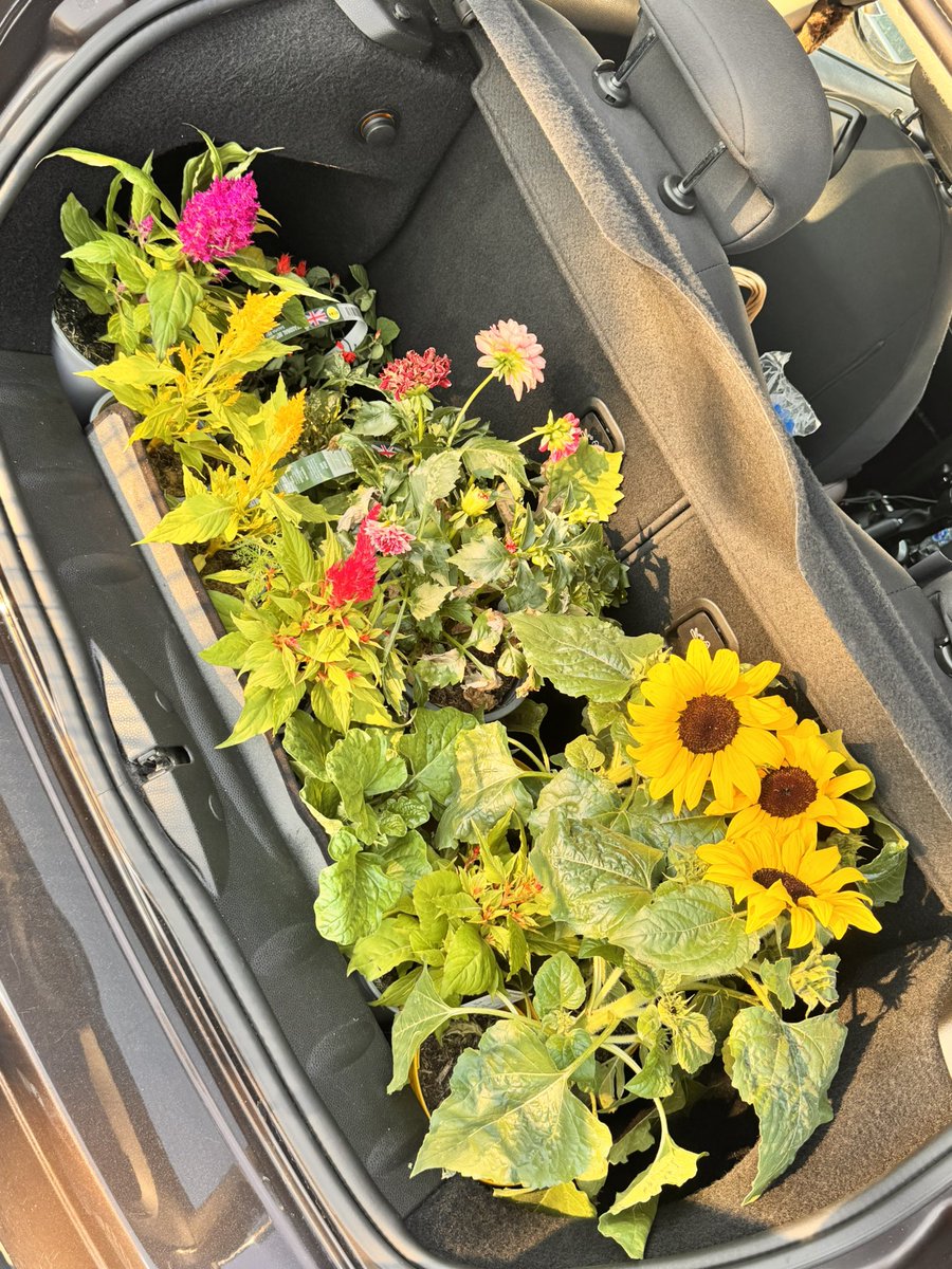 ___chloea's tweet photo. Smallest boot in the world in my car vs my mums flower shop 😅 https://t.co/l8J6an9ydR