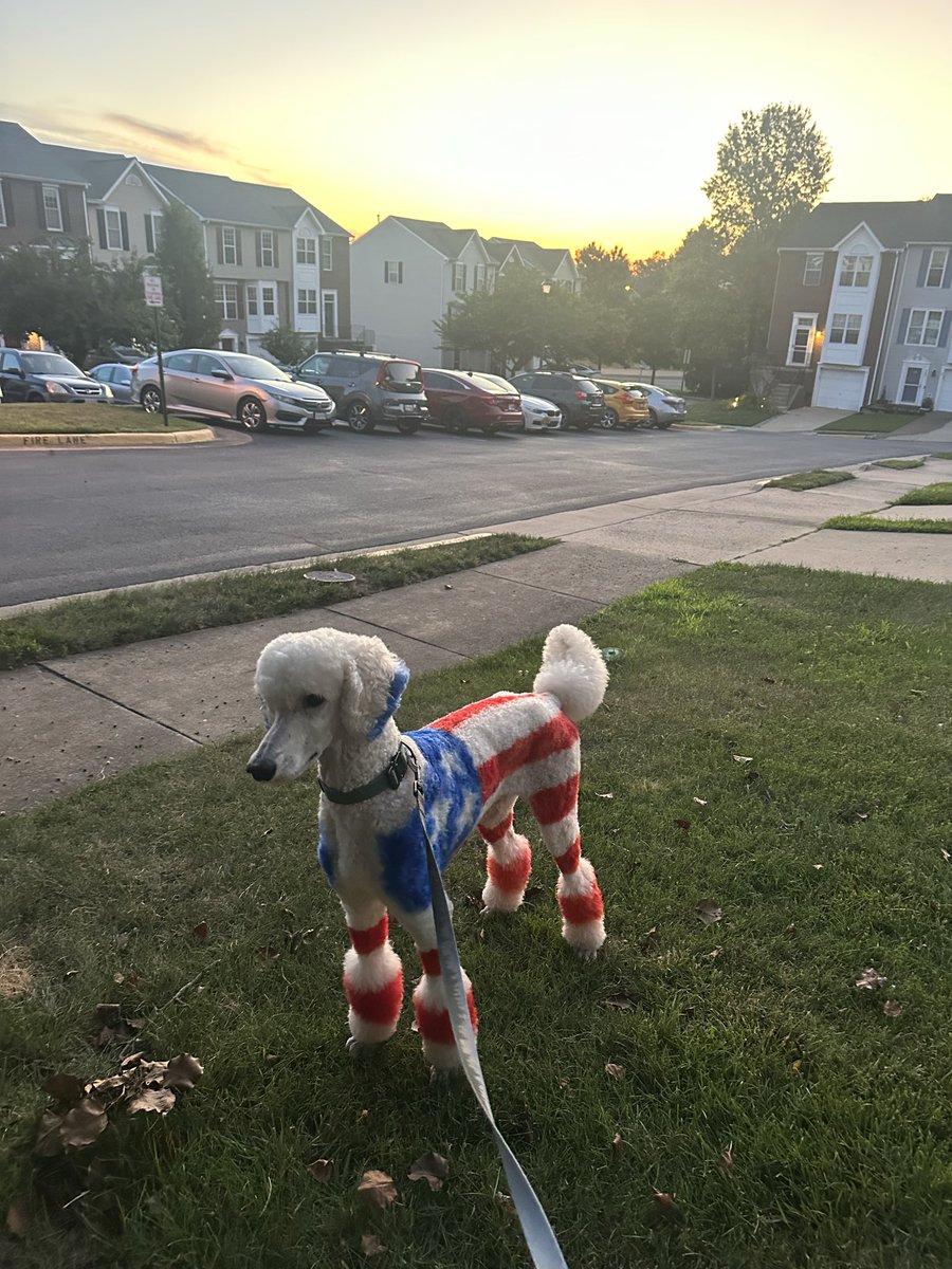 jawools's tweet photo. @elonmusk Happy 4th! https://t.co/92EV1ANLMd