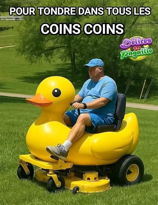 droledeCoinCoin tweet picture