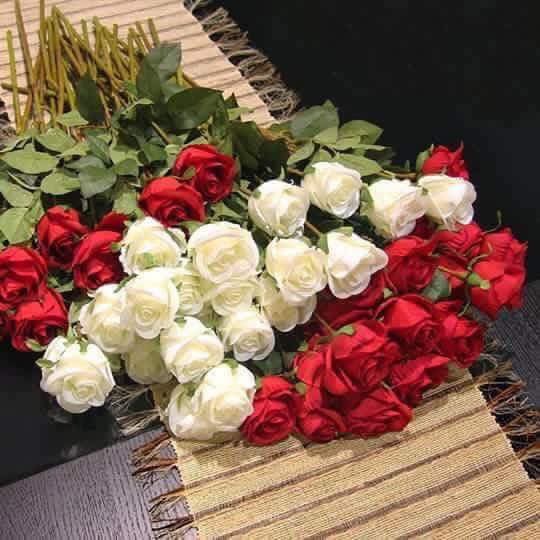 FlormiraMM's tweet photo. @mayemusk @ToscaMusk @PassionFlix Congratulations to Tosca 👏👏💐
Greetings with my best wishes 💕💐💐 https://t.co/H03RlJF5y0