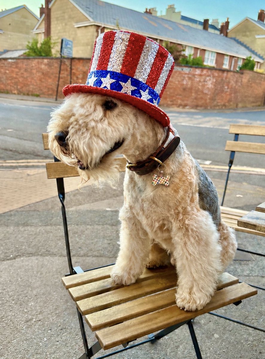 bertie_lakeland's tweet photo. Good morning everyone and Happy 04th of July to everyone in the US of A ❤️❤️ https://t.co/395IrgJeIl
