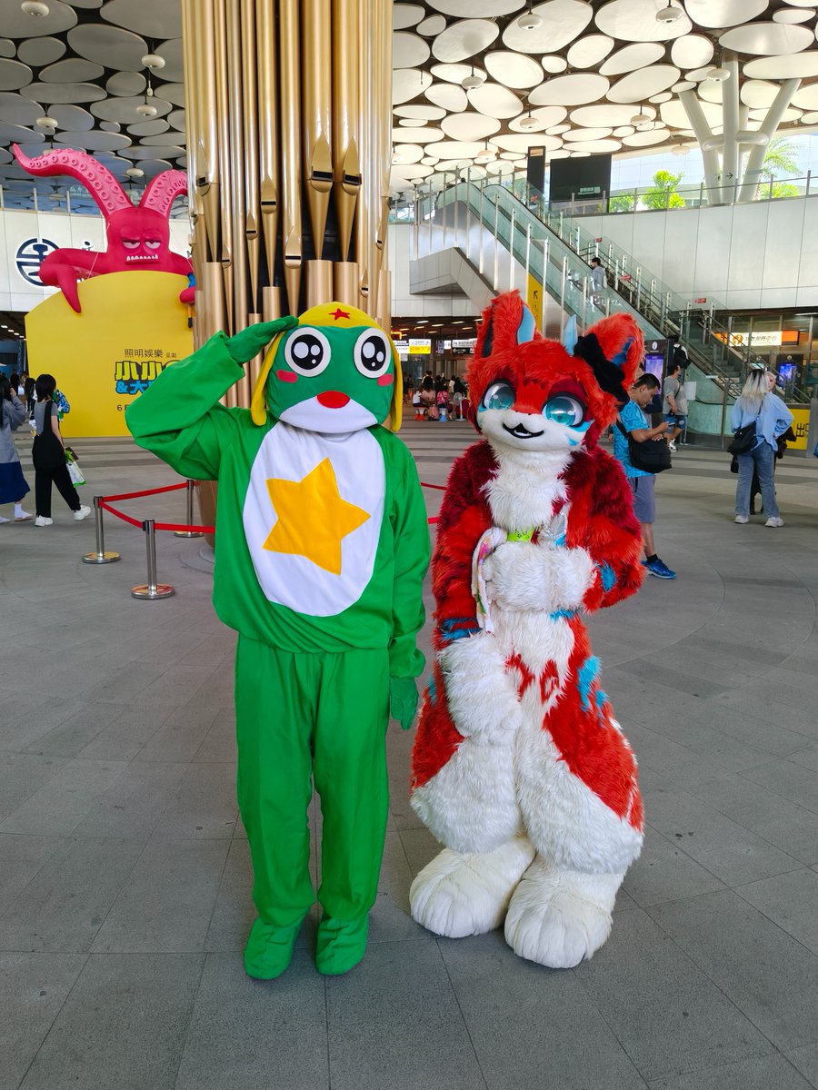 Keroro_3's tweet photo. Keroro來高雄車站參加高雄動漫城 2026年7月場活動,每個月都會舉辦一場活動,在高雄車站B1層的中央廣場遇到 森媞婭 @kakangca_dragon 來一起拍照。
#高雄動漫城 #KACG #WingStage #ウィングステージ #高雄車站 #高雄 #Kaohsiung #Keroro #Keroro軍曹 #ケロロ軍曹 #cosplay #Furry #Fursuit #ケモノ https://t.co/CKKVQ1Auyr