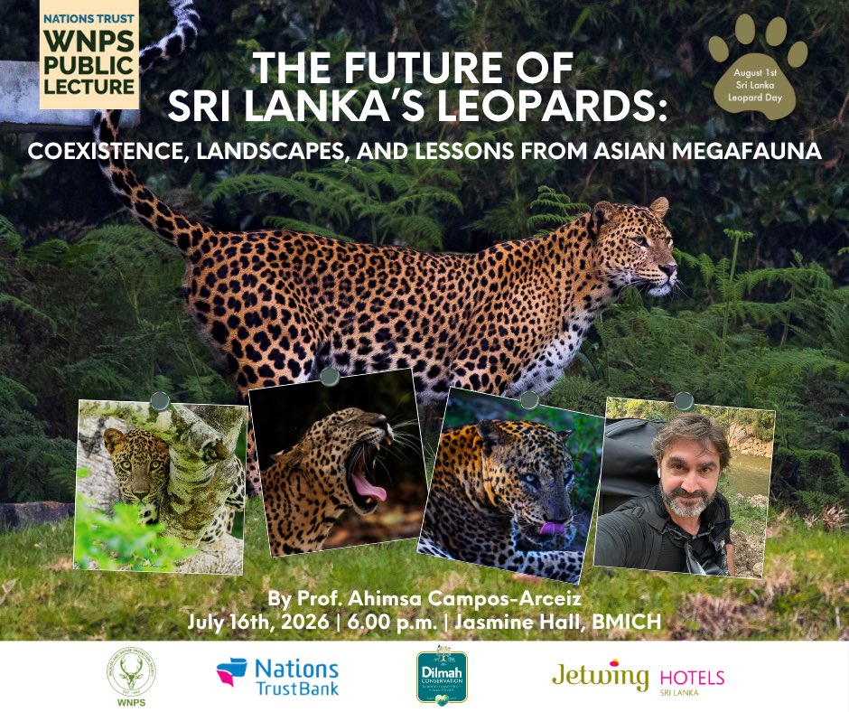 wnpssl's tweet photo. Can Sri Lanka’s #leopards thrive alongside people in a rapidly changing landscape? Join Prof. Ahimsa Campos-Arceiz as he explores the science, challenges and hope behind human–leopard coexistence 
📅 16 July | ��� 6.00 pm 📍 Jasmine Hall, BMICH
Free &amp; open to all. https://t.co/R7qeOMLbJ6