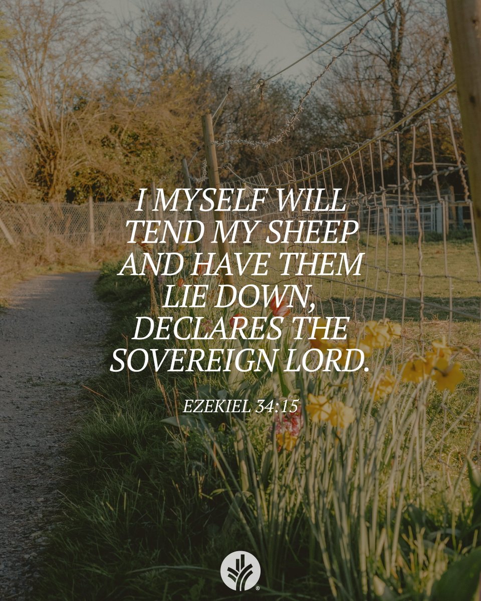 ourdailybread's tweet photo. Connect with God through today’s devotional! 
https://t.co/L9P8i3WJpS 

📖 Read: Ezekiel 34:1-2, 11-16

🙏 Receive: "Good Shepherd, thank You for loving me and setting me free."

❓Respond: What does God’s shepherding heart mean to you? https://t.co/fjiwxBDABC